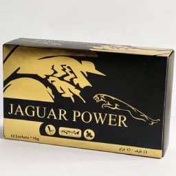 Jaguar Power - Image 6