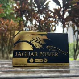 Jaguar Power - Image 1