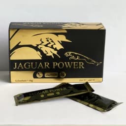 Jaguar Power - Image 4