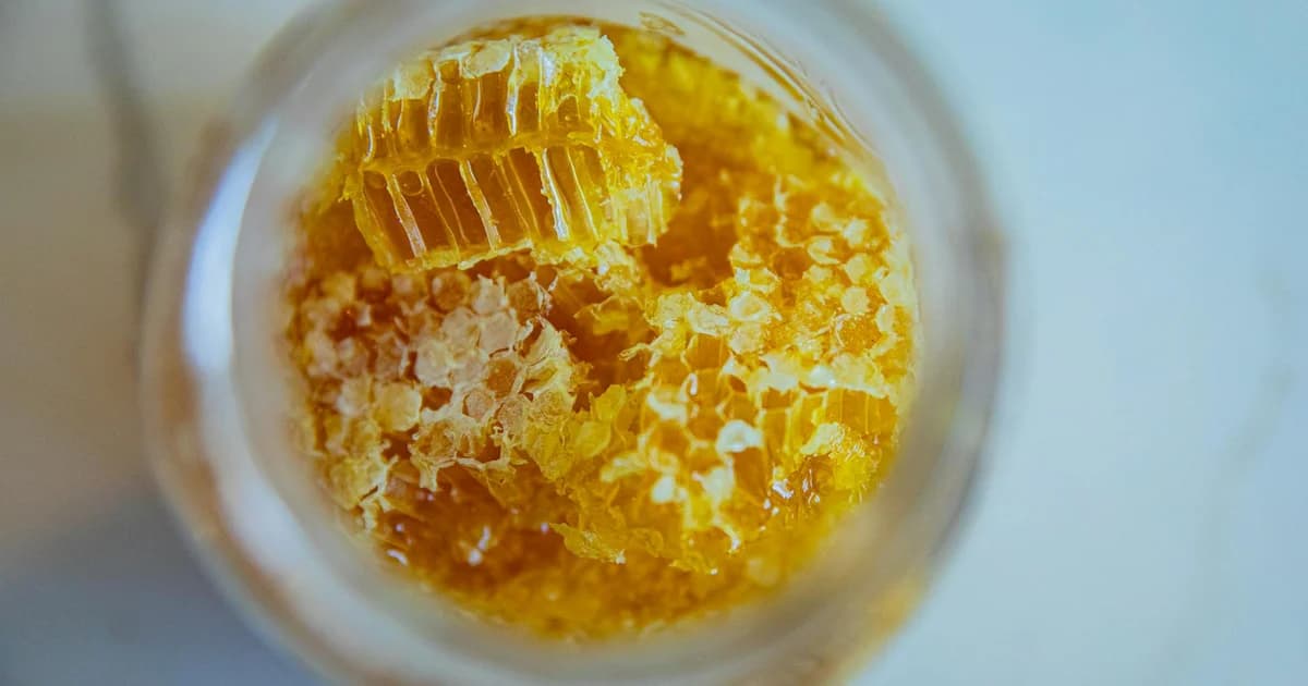 Raw Honey Benefits Daily Wellness